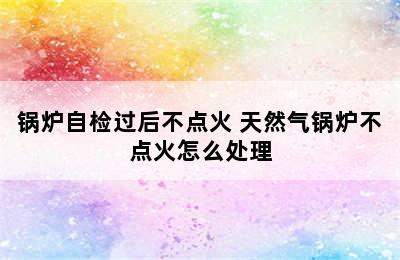 锅炉自检过后不点火 天然气锅炉不点火怎么处理